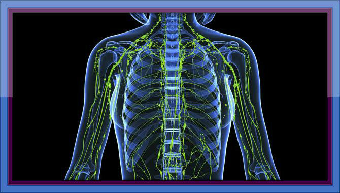 Healing at the Cell Level Part 5 - Lymphatic System A