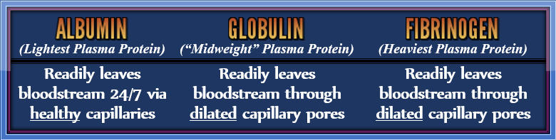 Albumin - Globulin - Fibrinogen Frame - The Root Cause